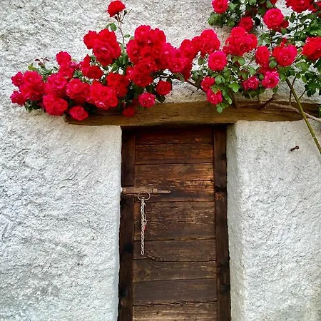 Casa de Férias Casa Edi